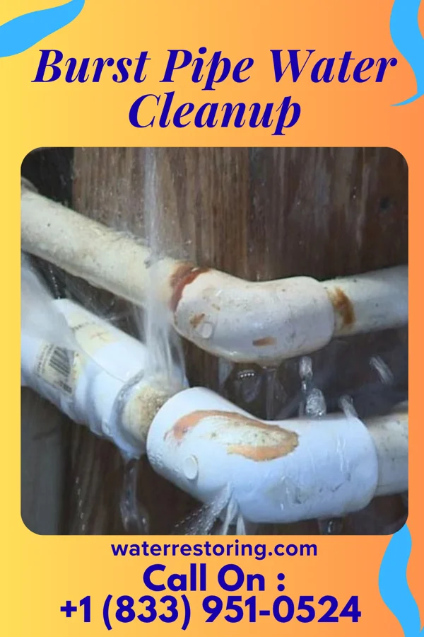 Burst Pipe Water Cleanup in Stamford, TX