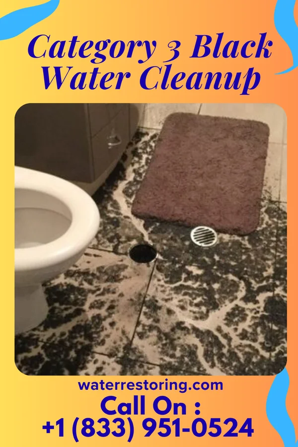 Category 3 Black Water Cleanup in Stamford, TX